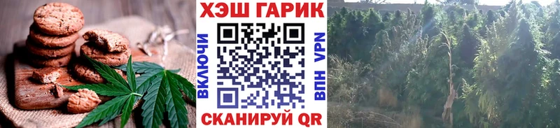 где продают   ссылка на мегу ONION  Cannafood конопля  Адыгейск 