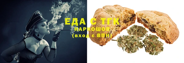 стаф Туринск