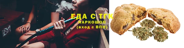 стаф Туринск