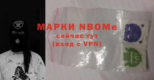стаф Туринск