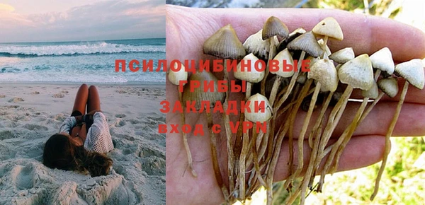 эйфоретик Тында