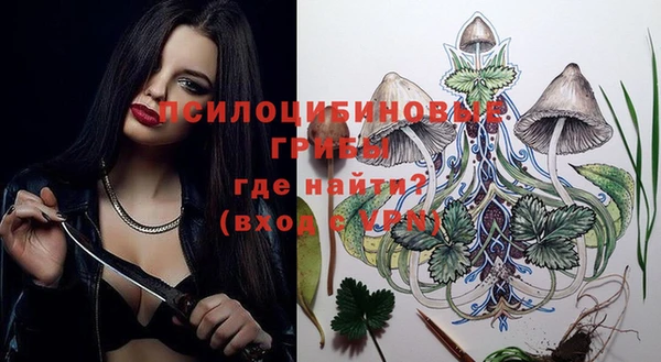 эйфоретик Тында