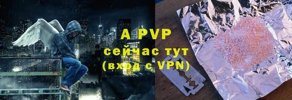 стаф Туринск