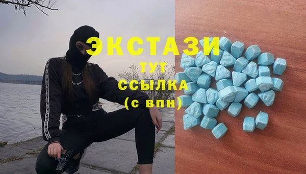 стаф Туринск