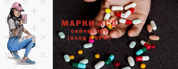 стаф Туринск
