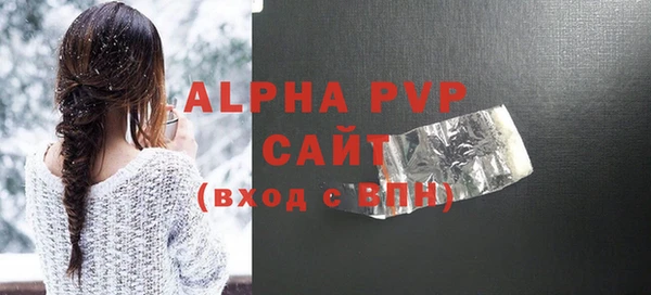 стаф Туринск