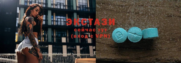 стаф Туринск