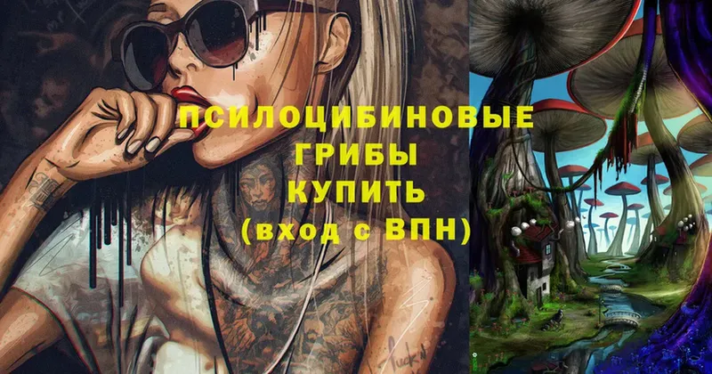 как найти наркотики  Адыгейск  Галлюциногенные грибы мицелий 